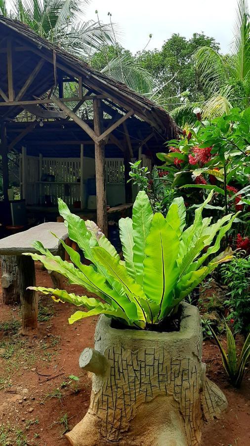 Travis Post Homestay Siquijor Exterior foto